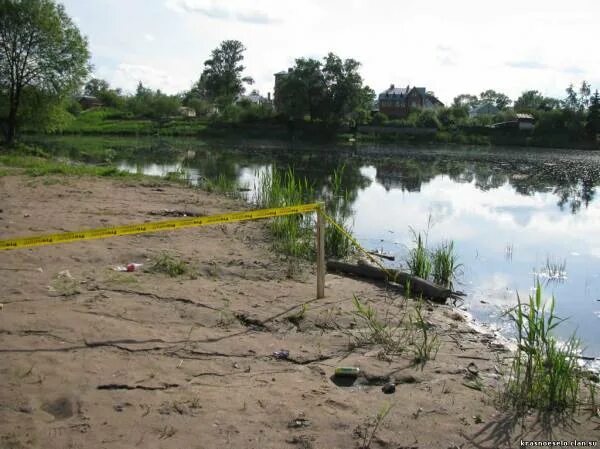 Оз Безымянное красное село. Озеро Безымянное в Красносельском. Озеро в Красном селе. Красное село озеро пляж. Захват озера