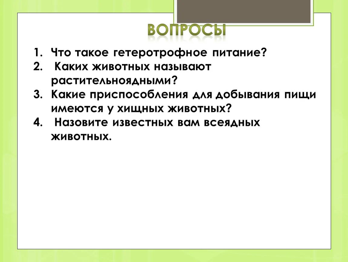 Какие приспособления для добывания пищи имеются у хищных животных. Что такое гетеротрофное питание биология 6 класс. Гетеротрофное питание это в биологии 5 класс. Что такоегетерофное питание.