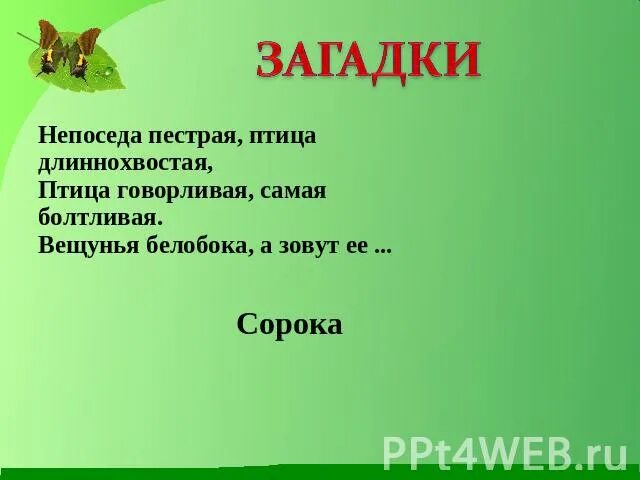 Длиннохвостая самая болтливая. Загадки Непоседа. Длиннохвостая лошадка загадка. Продолжи загадку. Длиннохвостая лошадка продолжить загадку.