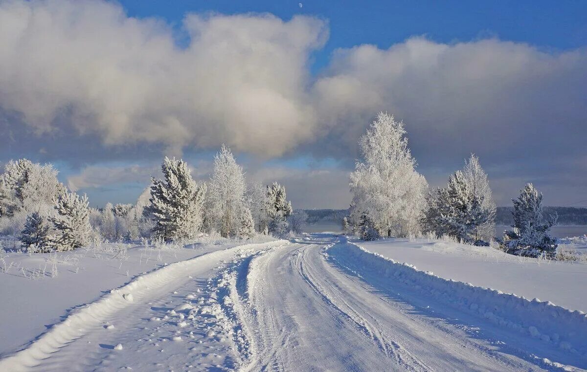 Где мороз 40. Зима в Сибири. Сибирь зимой. Природа Сибири зима. Заснеженная Сибирь.