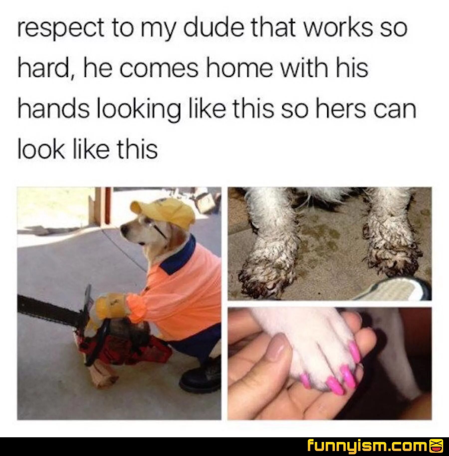 Work hard play hard. Hard working quotes. Work hard dog. He work works hard. He work works hard.