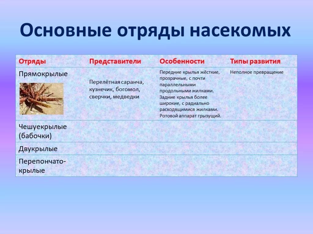 Особенности групп насекомые. Отряды класса насекомые и их представители таблица. Отряд насекомые таблица признаки отряда представители. Многообразие насекомых таблица 7 класс отряды представители. Отряд насекомых представители характерные признаки отряда.