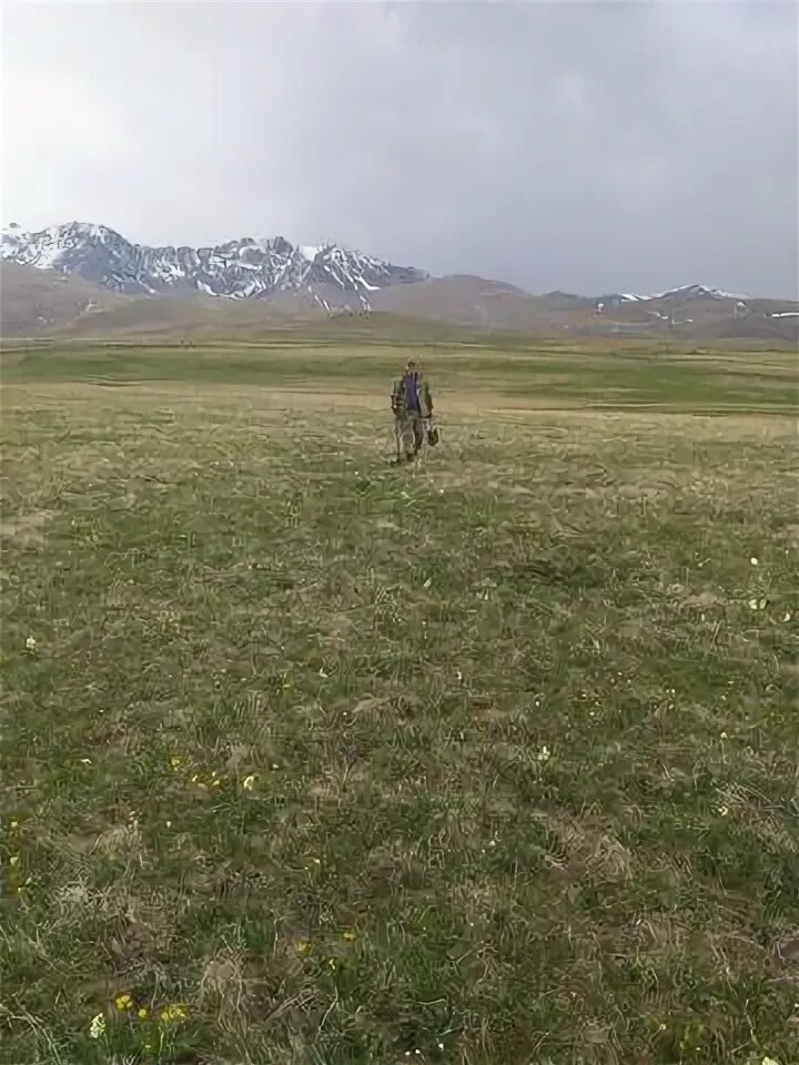 Коты воители лунный коготь и кровоцапка. Биче сын. Коты воители бич и лунный коготь. Биче сын. Парень любы бич.