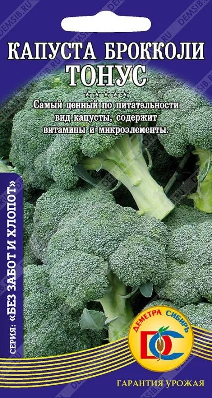 Капуста брокколи тонус отзывы. Капуста брокколи тонус. Капуста брокколи тонус описание сорта. Брокколи тонус описание.