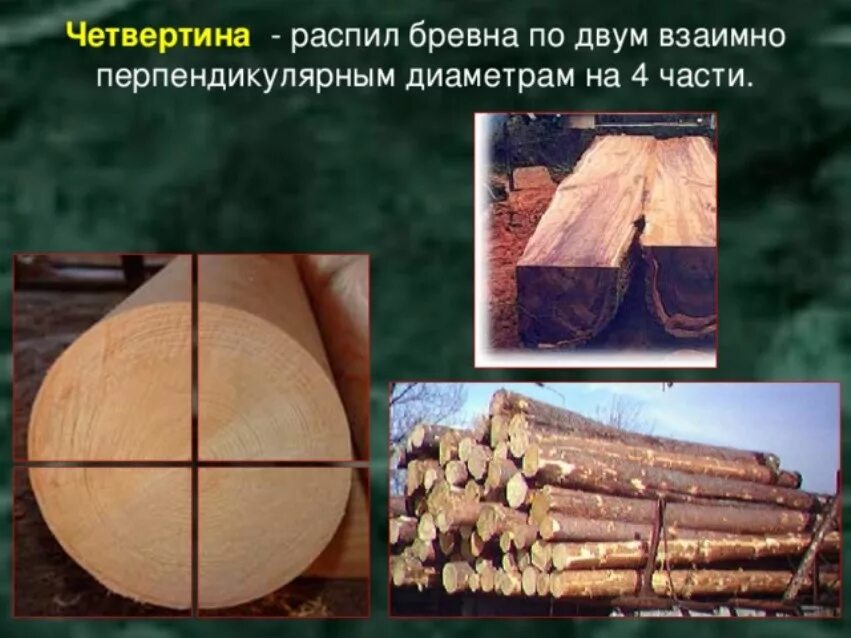Бревно определение