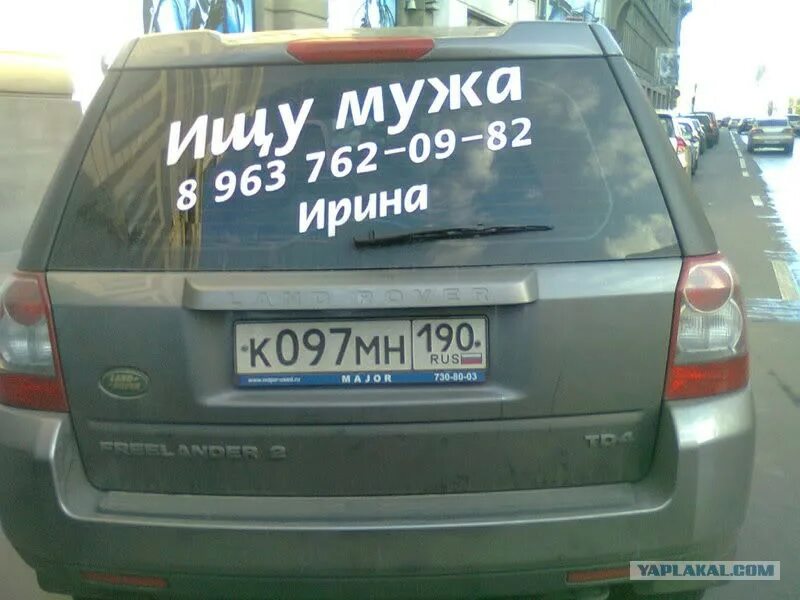 Ищу мужа. Ищу мужа на авто. Наклейка ищу мужа. Объявление ищу мужа