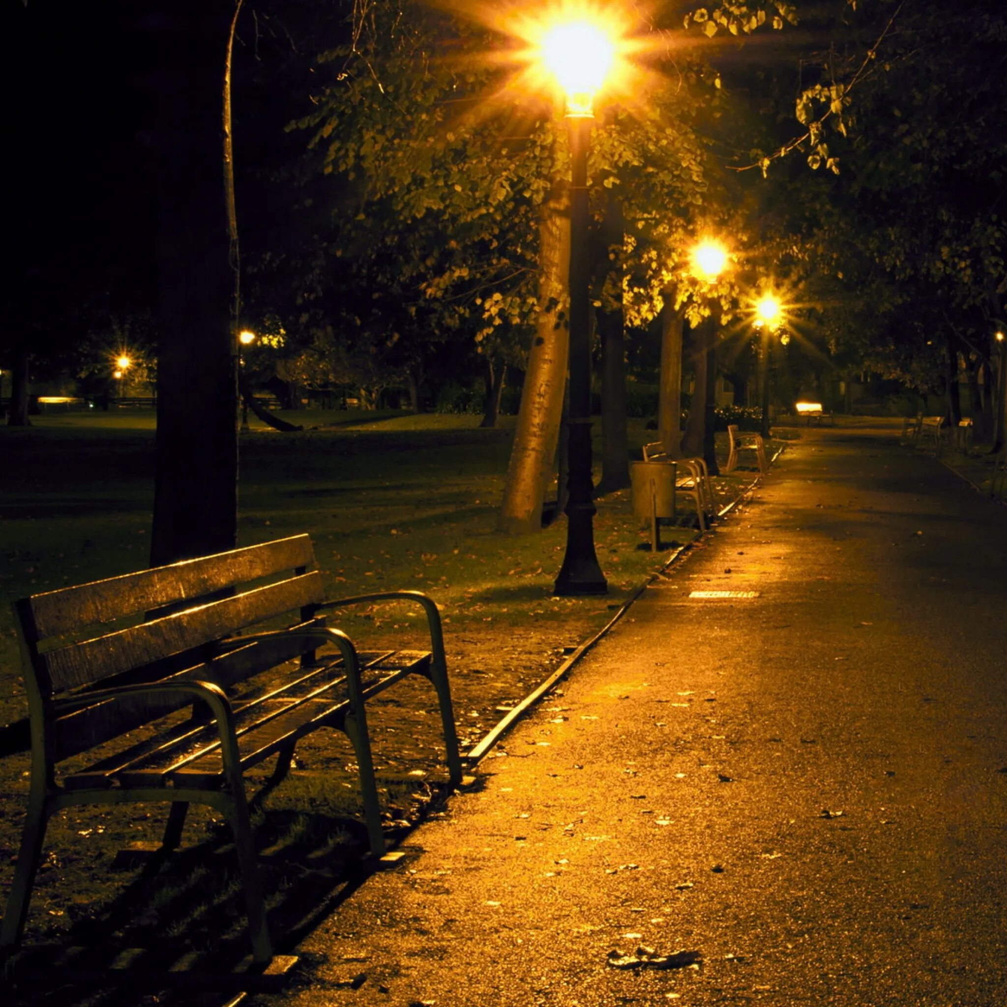 Аллея ночью. Улица вечером. Ночная улица в парке. Парк вечером. Погода вечером на улице