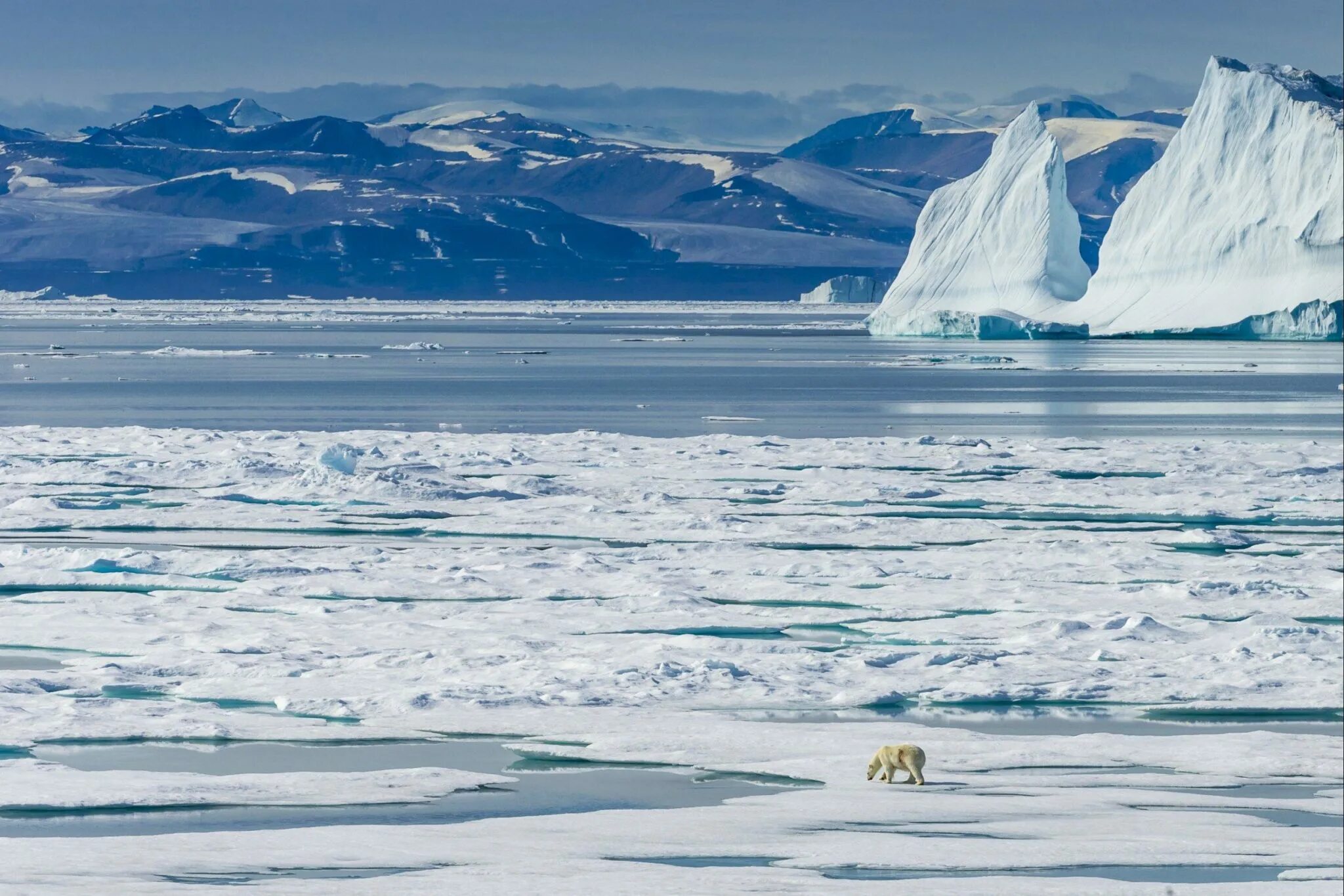 Южный океан природные зоны. Северный Ледовитый океан полюс. Северный полюс, Арктика и Южный полюс, Антарктида. Северный полюс Арктика. Северный (Арктический и антарктический) климат.
