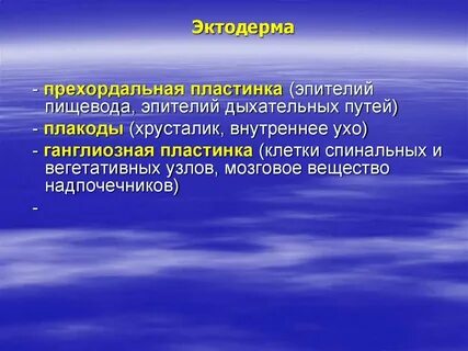 Прехордальная пластинка