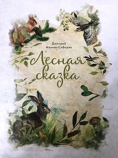 Произведение мамин сибиряк читать. Лесная сказка мамин сибиряк. мамин-сибиряк лесная сказка иллюстрации к сказке.