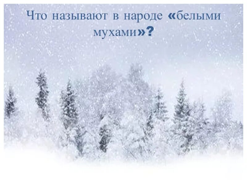 Снежинки белые мухи. Загадки про снег белые мухи. Загадка белые мухи. Загадка на тему снег. Загадки про снег.