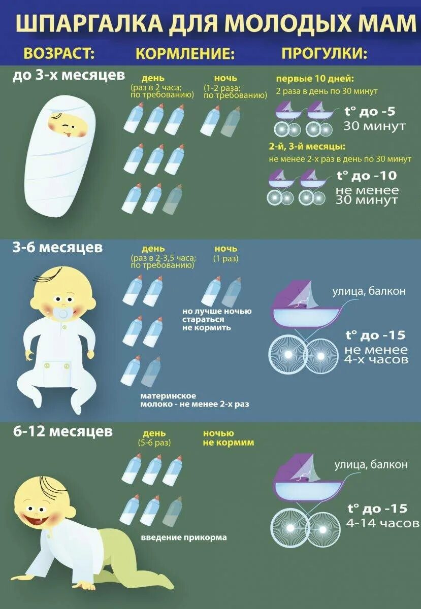 Сколько кормить ребенка ночью