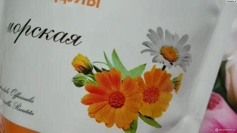 Ромашка календула