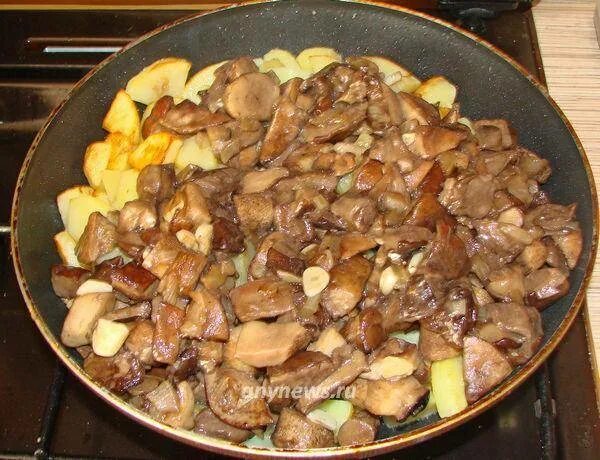 Подберезовики рецепты. Подберезовик жареный с картошкой. Картошка с грибами на сковороде. Подберезовики с картошкой на сковороде. Картошка с подосиновиками жареная.