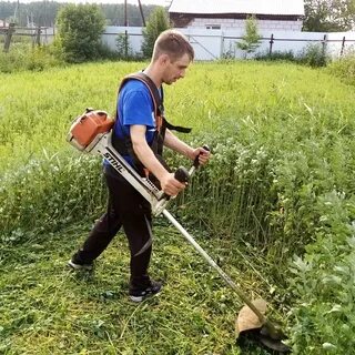 Косить траву закон