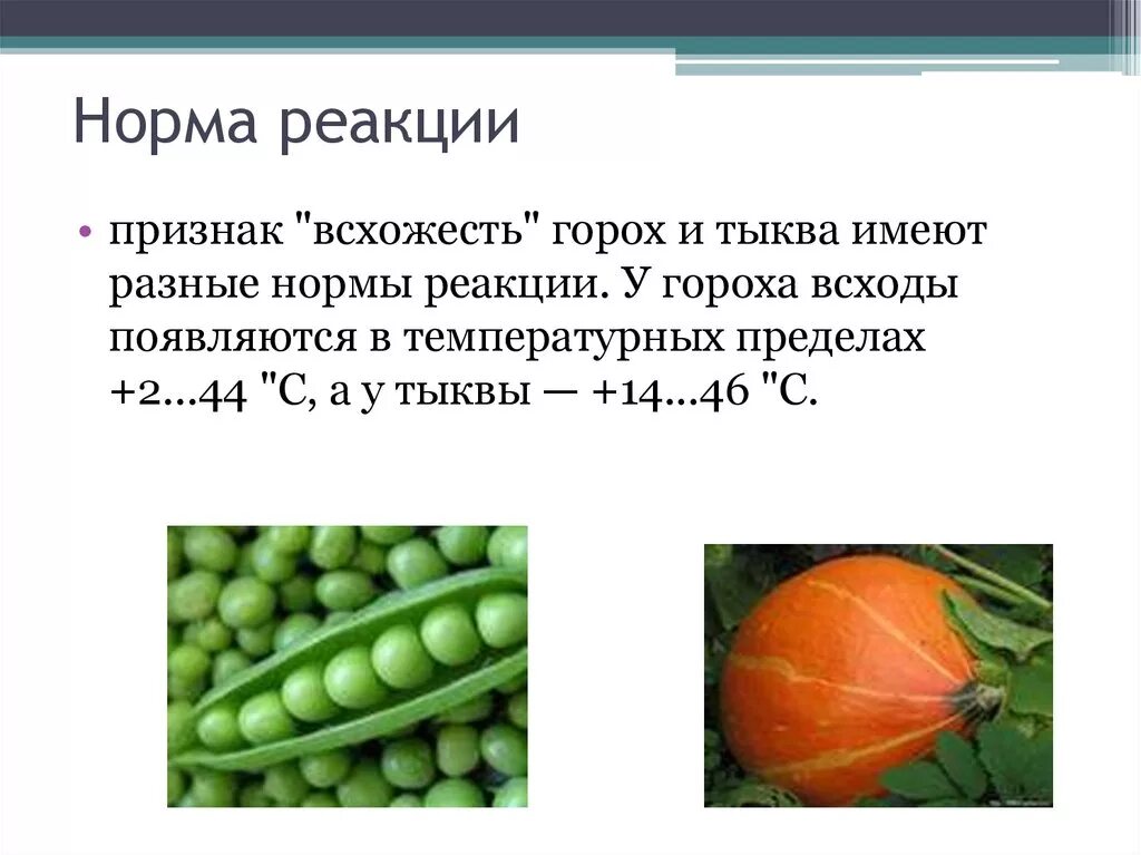 Нормы реакции бывают. Норма реакции биология 10 класс. Норма реакции. Норма реакции примеры. Примеры нормы реакции в биологии.