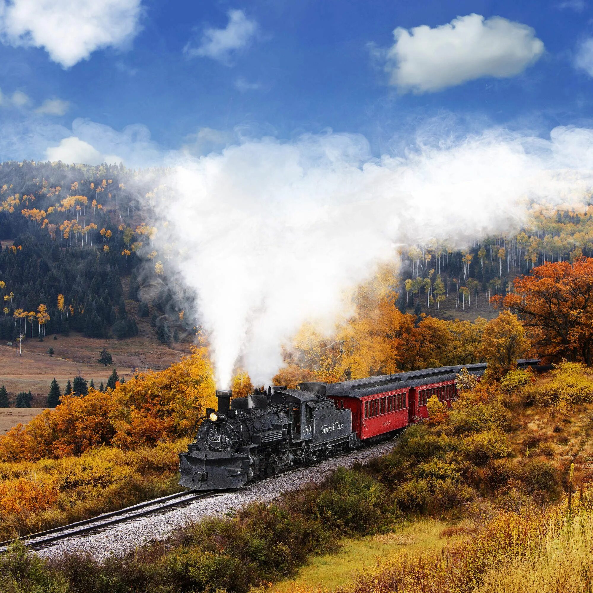 Train