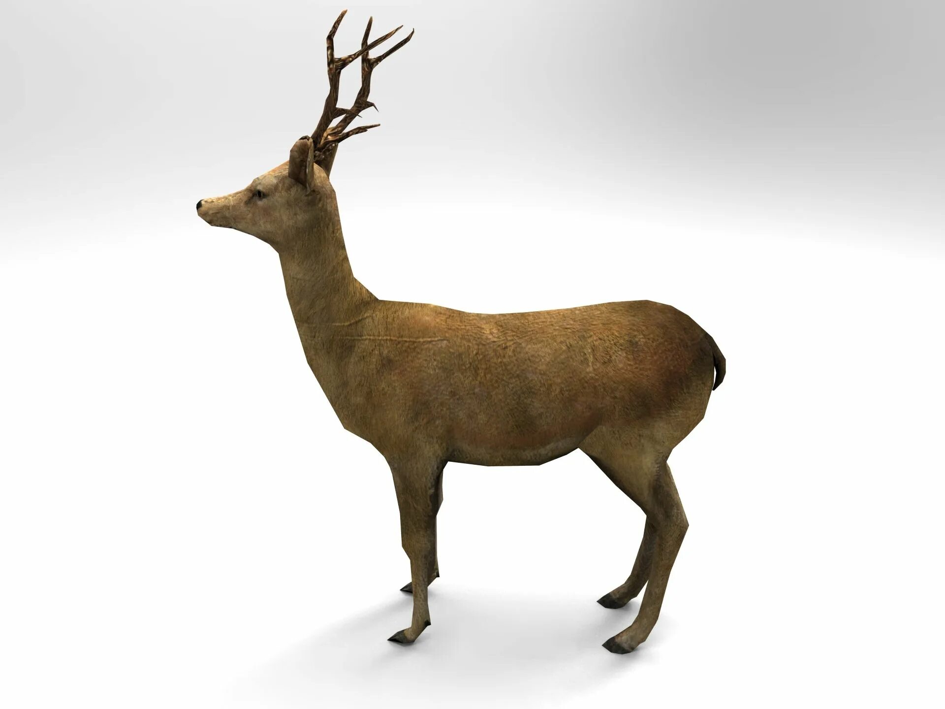 Олени 3 д. 3d модель олень для ленточной пилы. Model Elk. Laying Deer 3d model.