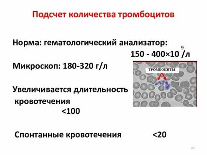 Патологии системы гемостаза
