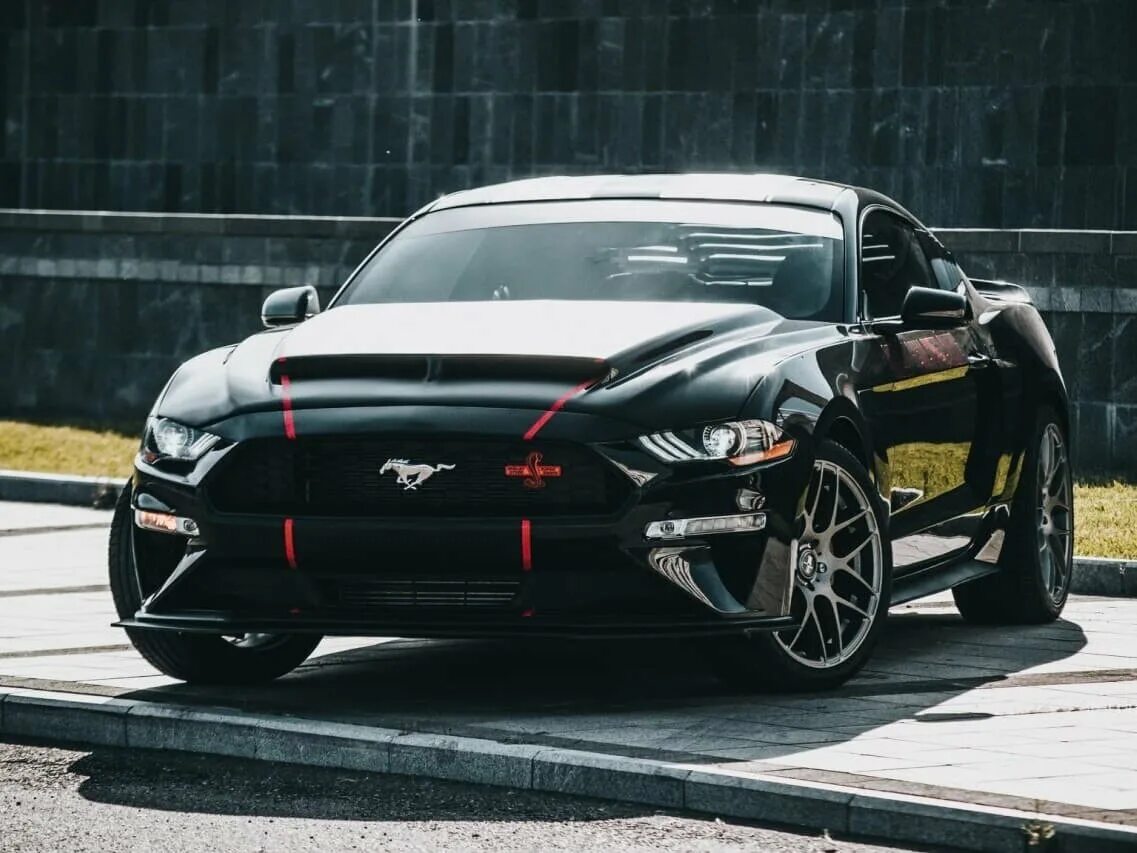 Форд мустанг 777. Ford mustang shelby 2010. Мустанг мелитополь. Мустанг владикавказ. Мустанг владикавказ.