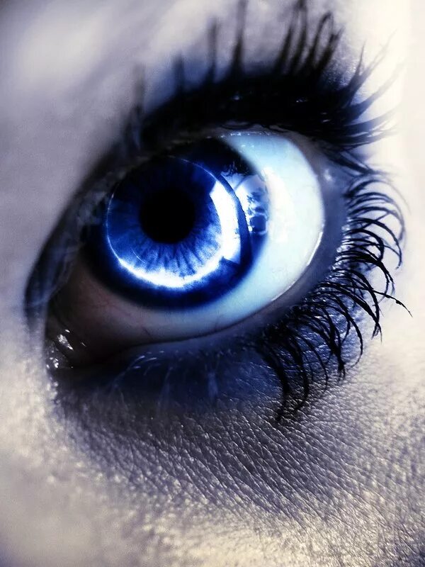 Голубые глаза эстетика. Ярко синие глаза. Красивые глаза. Синие глаза. Сияние глаз.