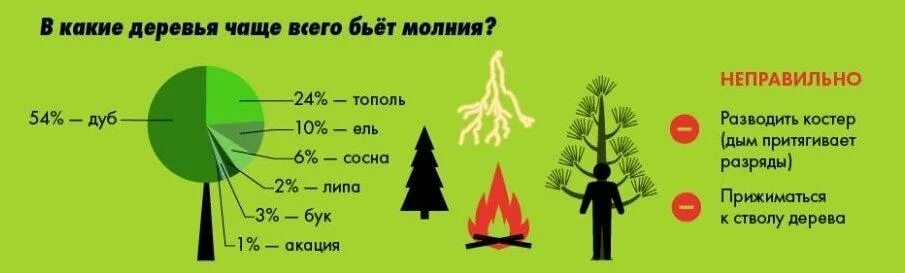 Вероятность поражения молнией. Памятка: действия при грозе в лесу. Безопасное поведение в лесу при грозе. В какие деревья чаще всего бьет молния. В какое дерево чаще всего попадает молния.