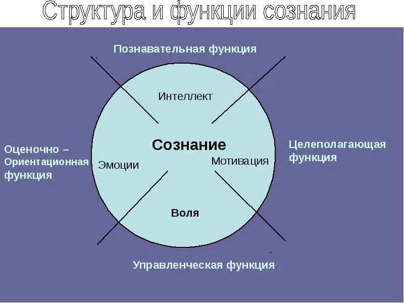 Условием развития человека помимо реальности егэ русский. Структура сознания схема. Сознание структура сознания. Струткур асознания. Сознание человека. Структура сознания..