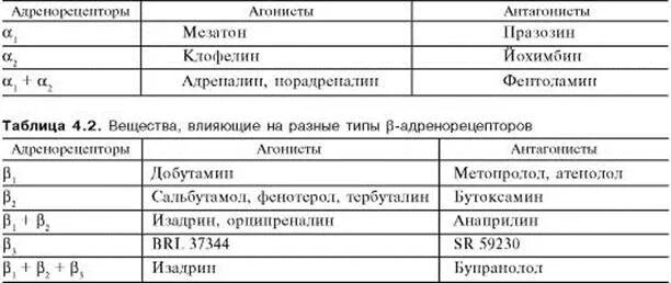 Эффекты возбуждения адренорецепторов таблица. Антагонисты адренорецепторов. Локализация адренорецепторов различных видов. Таблица эффекты вызываемые стимуляцией адренорецепторов. Адреналин мезатон