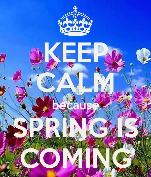 Spring is coming картинки. Spring is coming Spring is coming. Keep Calm Spring.