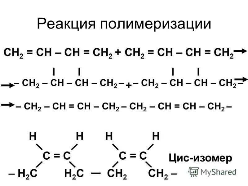Изомерия диенов. Реакция полимеризации диенов. Реакция полимеризации [-ch2-Ch(Ch)-]. Реакция полимеризации характерна для.