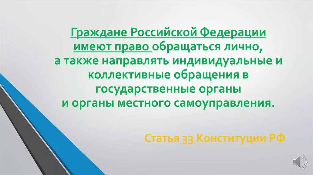 Статья 33 конституции