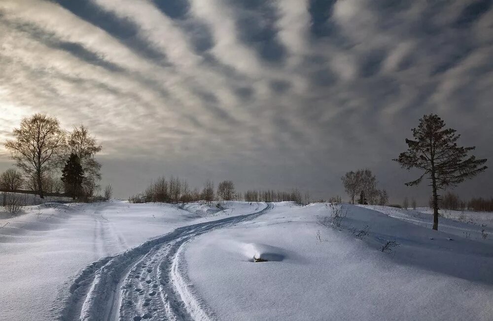 Замело дорогв. Снегопад заметает дороги. Замело дороги. Протоптанная тропинка зимой. Замело дороги.