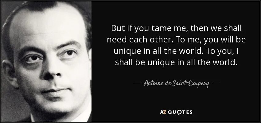 You are nothing good. Exupery quotes. Antoine de Saint Exupery краткая история. Antoine de Saint-Exupery. Planet people". Антуан де Муатюрье.