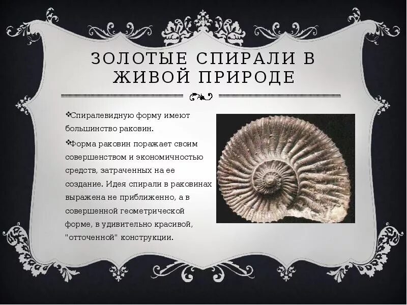 Почему трек имеет форму спирали. Спираль в природе. Спираль в живой природе. Золотая спираль. Спираль мысли.