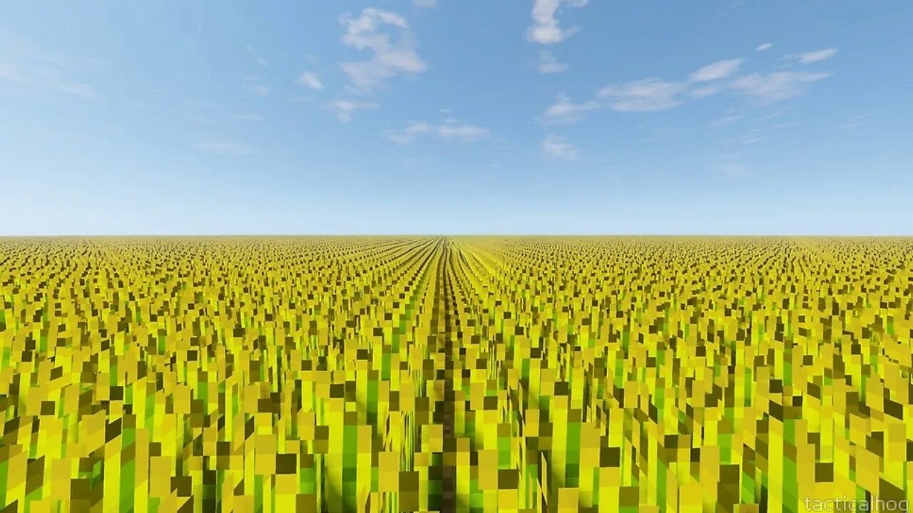 Fields 5