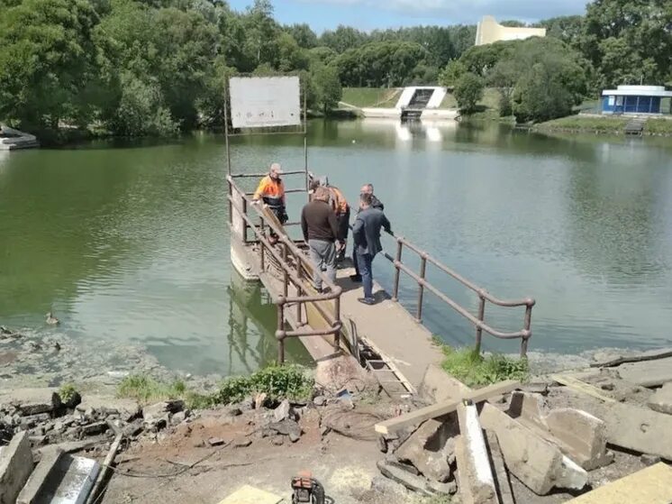 Пруд у цирка киров. Парк у цирка киров. парк кирова у пруда. пруд у цирка в кирове. пруд в парке.