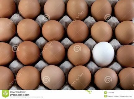 An Egg White into Brown Eggs, Visible Minority Stock Photo - Image of 