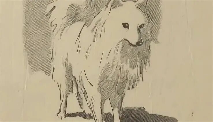 собака из хамелеона чехова. чехов хамелеон очумелов. чехова "хамелеон". п чехова каштанка. а.