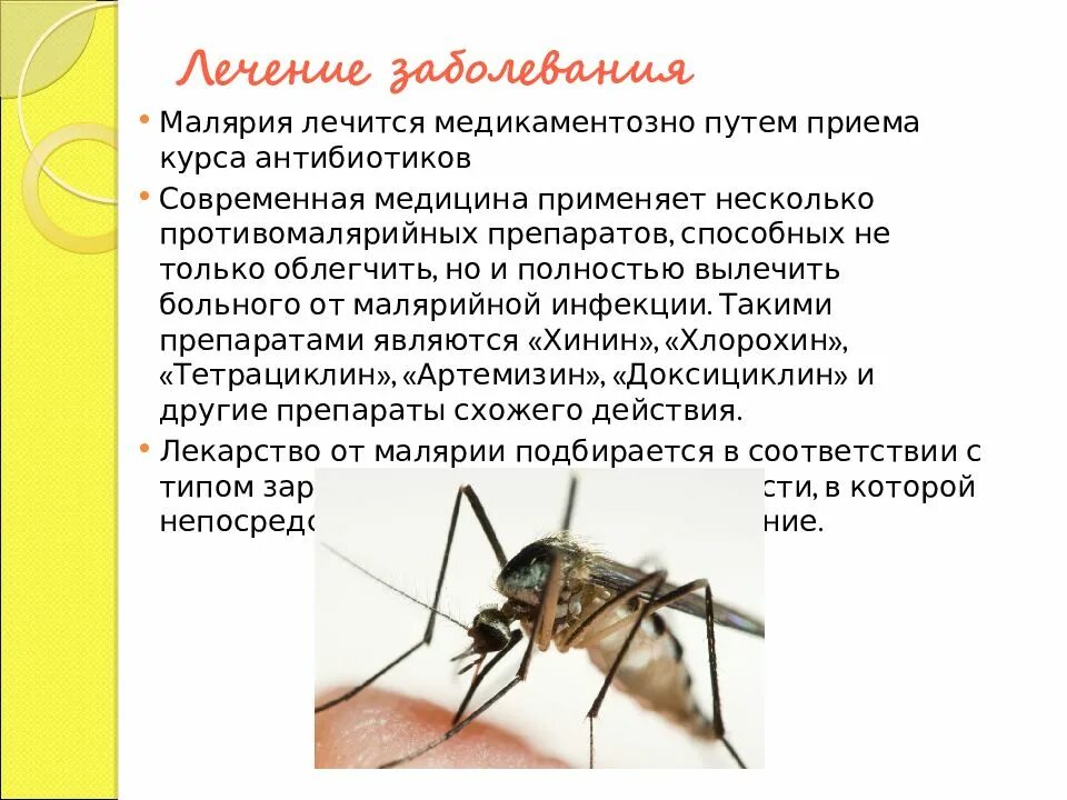 Характерный признак малярии. Специфического переносчика возбудителя малярии. Тропическая малярия возбудитель заболевания.