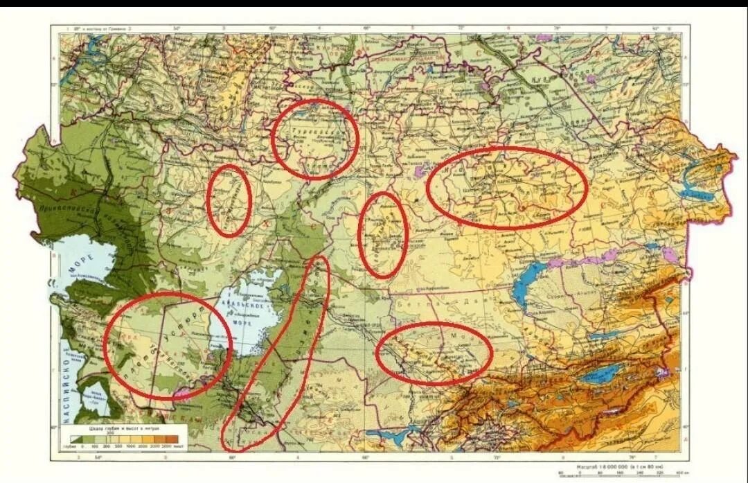 Туранская низменность на физической карте. Плато устюрт на карте. туранская равнина на карте. горы казахский мелкосопочник на карте. казахский мелкосопочник плоскогорье.