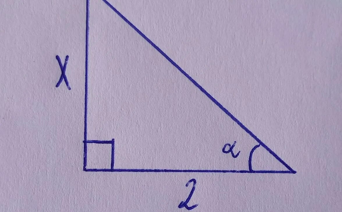 Прямоугольный треугольник изображен под буквой. Прямоугольный треугольник. Найдите х в прямоугольном треугольнике. Найдите сторону x прямоугольного треугольника. Прямоугольный треугольник с х.