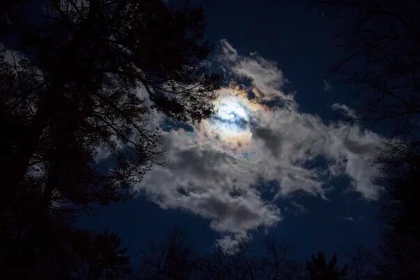 Pin de RossyEscaroz en Luna llena.. Fotos de la luna, Luna llena, Luna