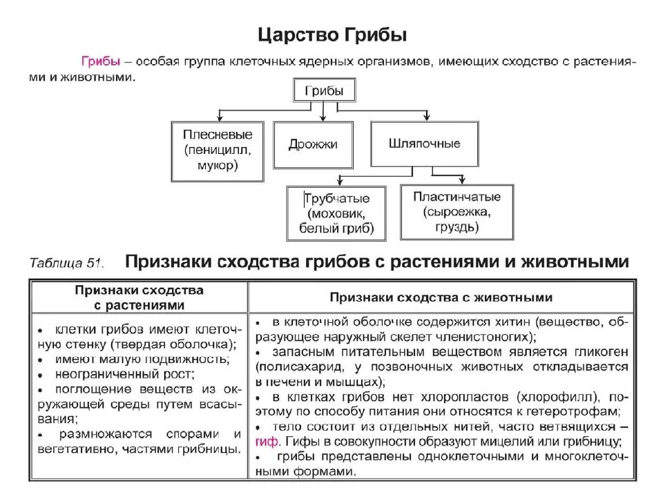 Систематика грибов ЕГЭ биология. Царство грибов таблицы биология. Царство грибов схема. Классификация царство грибов таблица. Характеристика грибов 7 класс биология