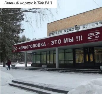 Ран черноголовка
