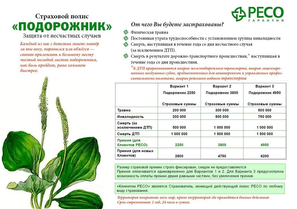 Возрастной диапазон в продукте ресо подорожник. Страховка подорожник ресо таблица выплат. Продукт подорожник ресо гарантия. Подорожник страхование ресо. Подорожник выгодно