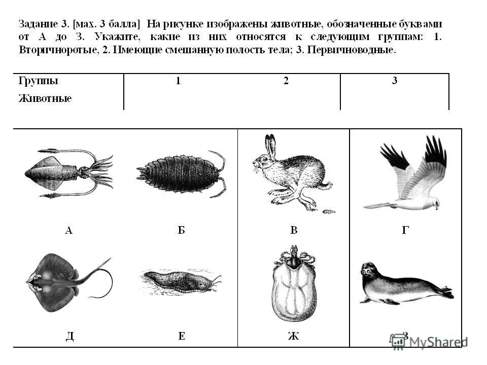 Самостоятельная биология 11. Задания по биологии. Задания олимпиады по биологии. Творческие задания по биологии. Интересные практические задания по биологии.