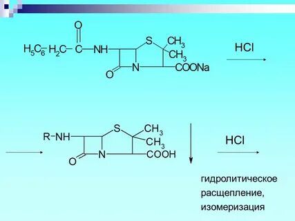 Разложение атф