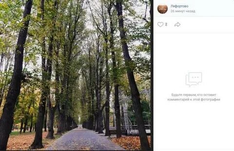 Лефортово парк трагедия