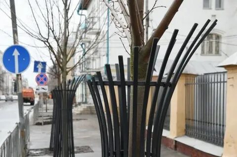Посадки казань