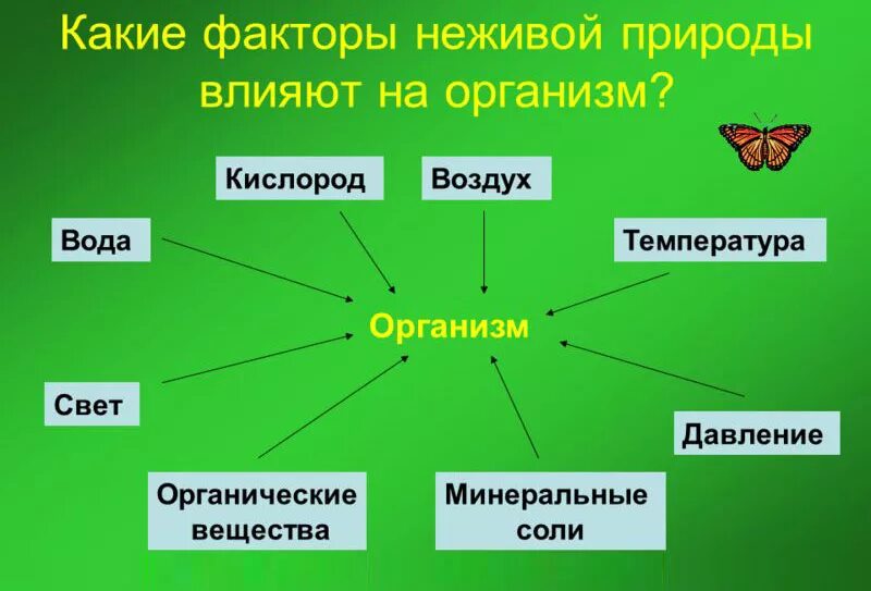 К природным факторам относятся. Объекты не жвиой природы. Объекты неживой природы. Факторы влияющие на живую природу. Элементы неживой природы.